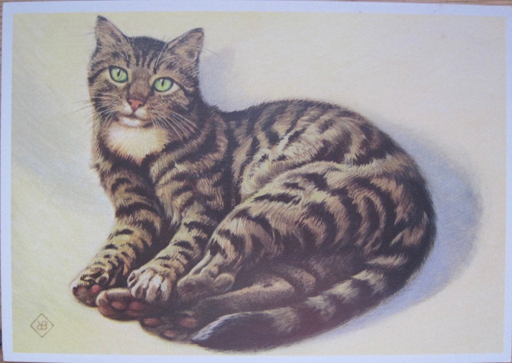 voor het kind - poes - Europese korthaar - 1976 - nieuw, Verzenden, 1960 tot 1980, Ongelopen, Hond of Kat