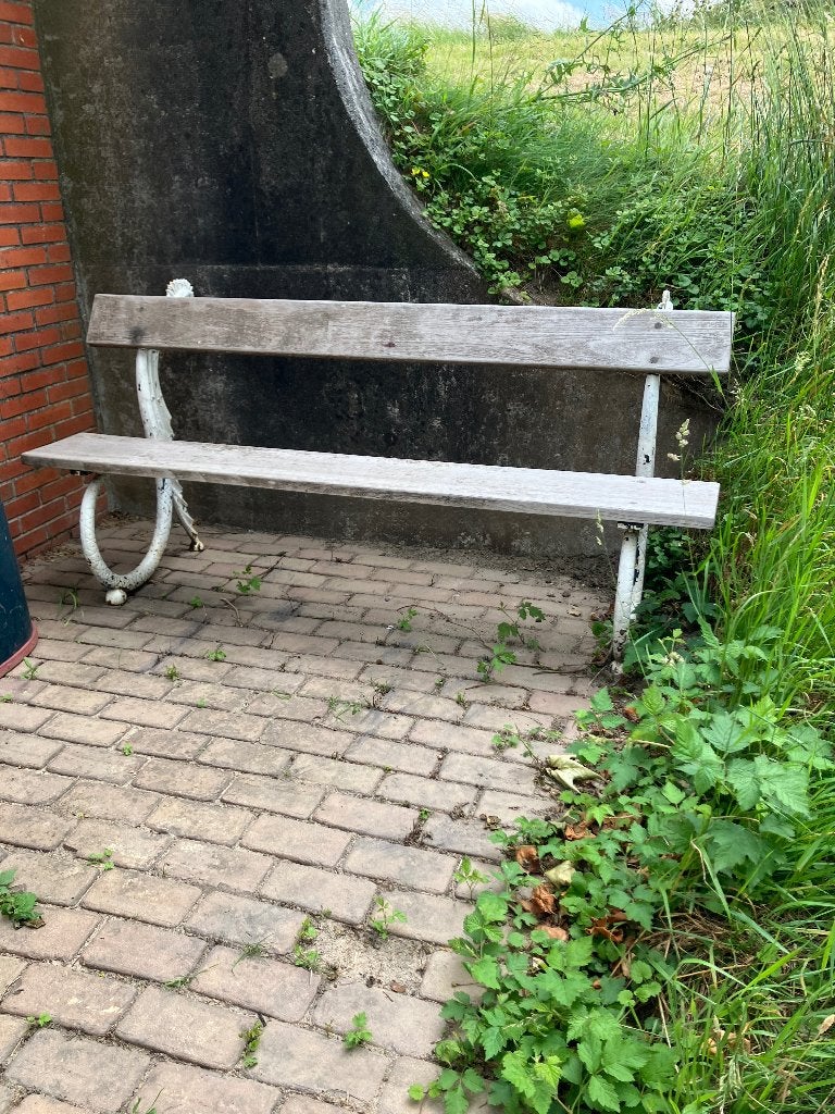 Franse gietijzeren tuinbank Draak, Ophalen, Gebruikt, Metaal