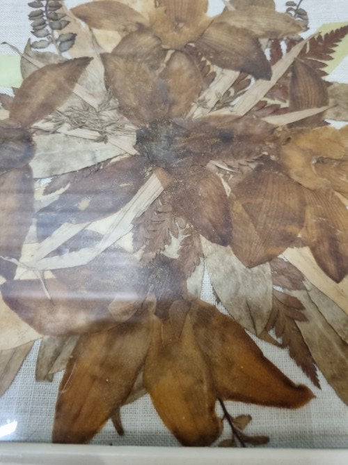 -	Droogbloemen ingelijst met glas, Ophalen of Verzenden, 'T Olde Gre-j, Info@toldegrej.nl, Endepoelstraat 20f Didam