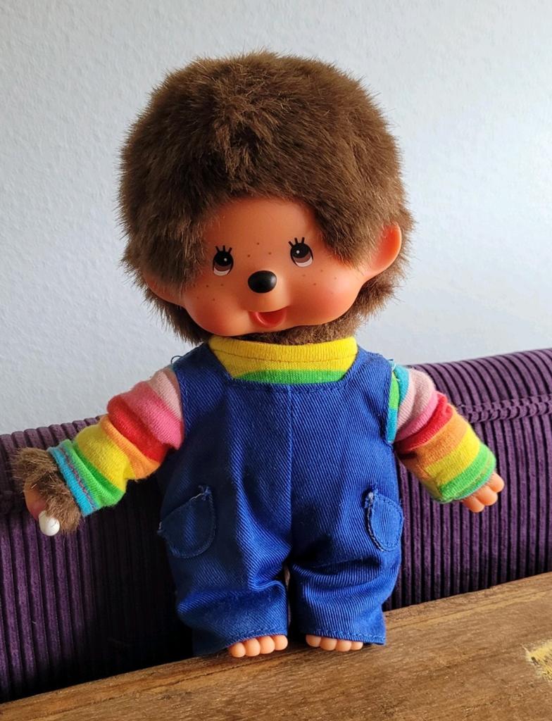 Monchhichi aapje regenboogjongen, Ophalen of Verzenden, Zo goed als nieuw, Overige typen
