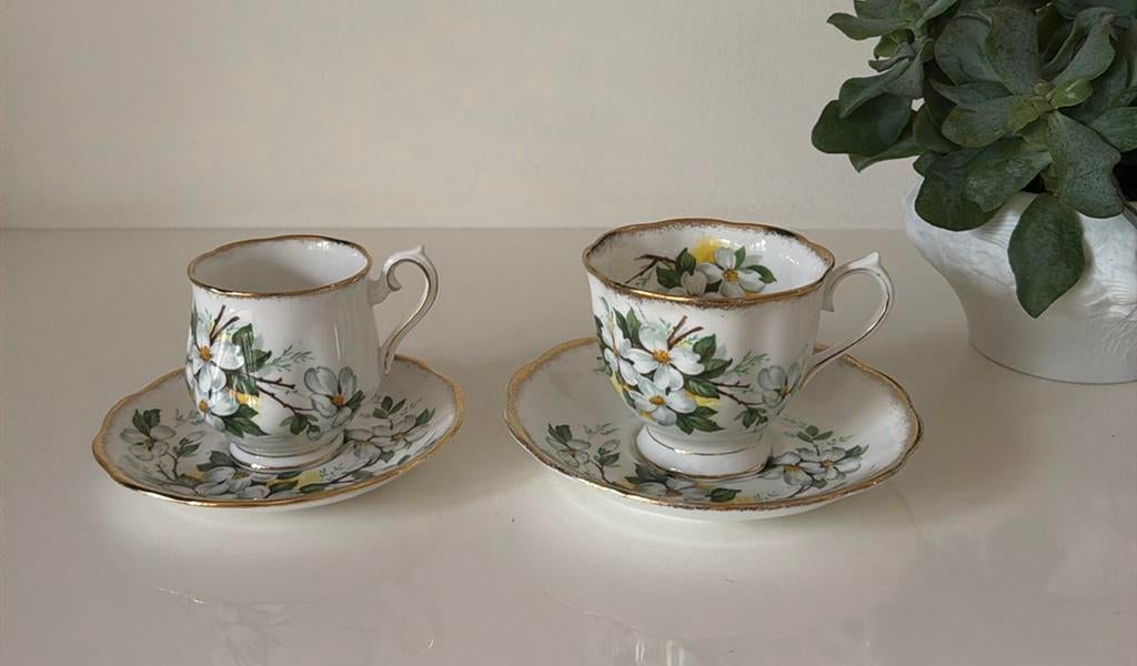 2 Royal Albert White Dogwood kop en schotels, Ophalen of Verzenden, Zo goed als nieuw, Porselein, Kop en/of schotel