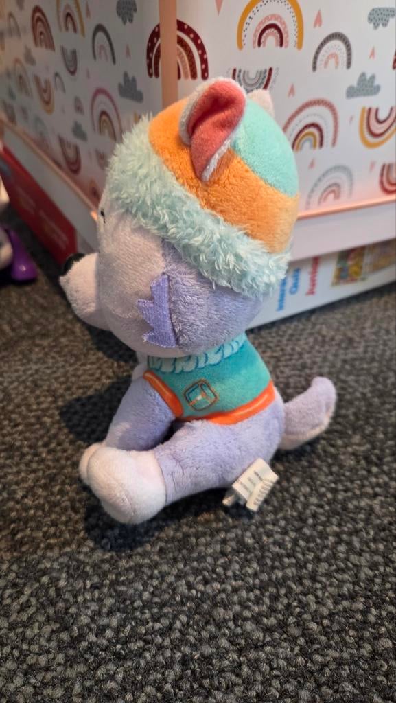 Paw Patrol Everest Knuffel Klein, Zo goed als nieuw, Meerkleurig, Klein (minder dan 20 cm), Paw Patrol