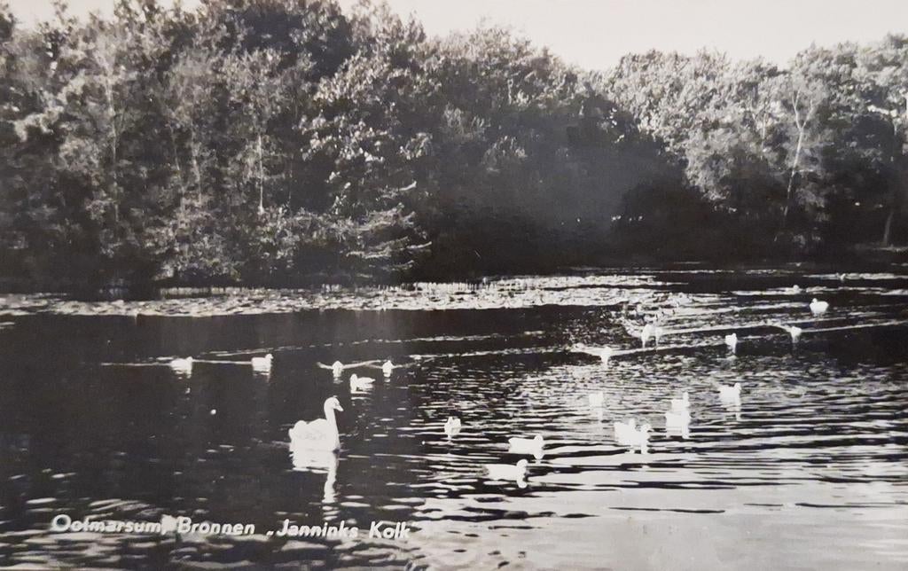 Fotokaart Ootmarsum - Bronnen "Janninks Kolk" - 1956, Ophalen of Verzenden, 1940 tot 1960, Gelopen, Overijssel