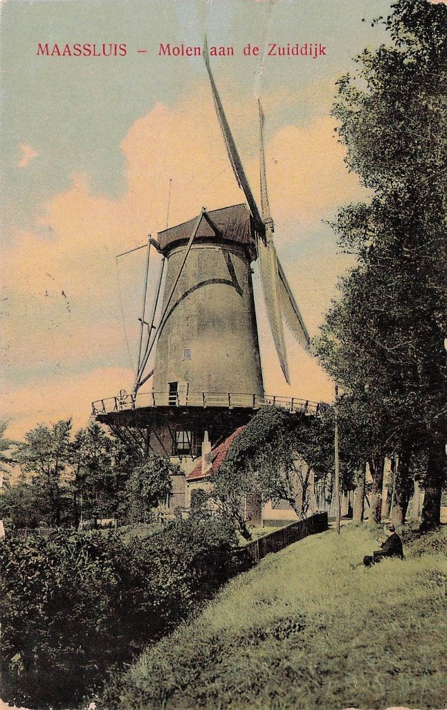 JP445 Maassluis Molen ad Zuiddijk 1909, Verzenden, Voor 1920, Gelopen, Zuid-Holland