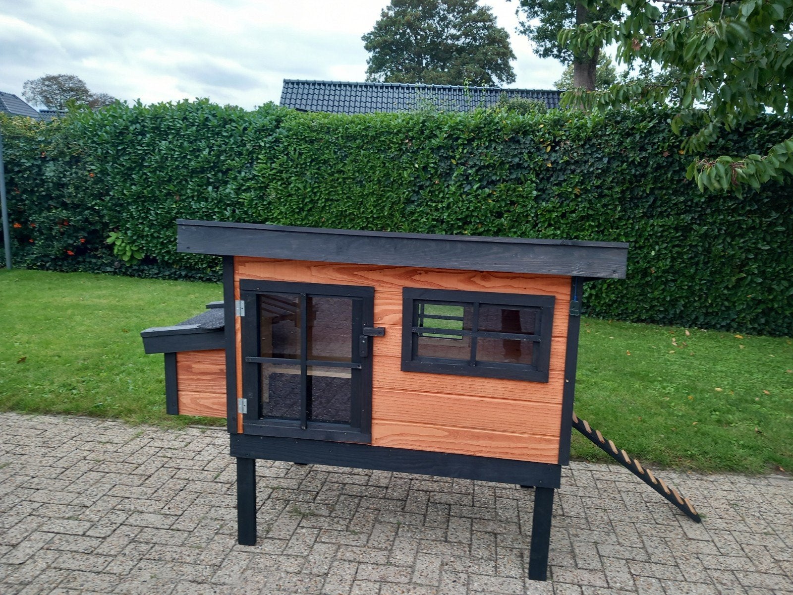 nieuw kippenhok, Ophalen, 110 cm of meer, Nieuw, 90 cm of meer