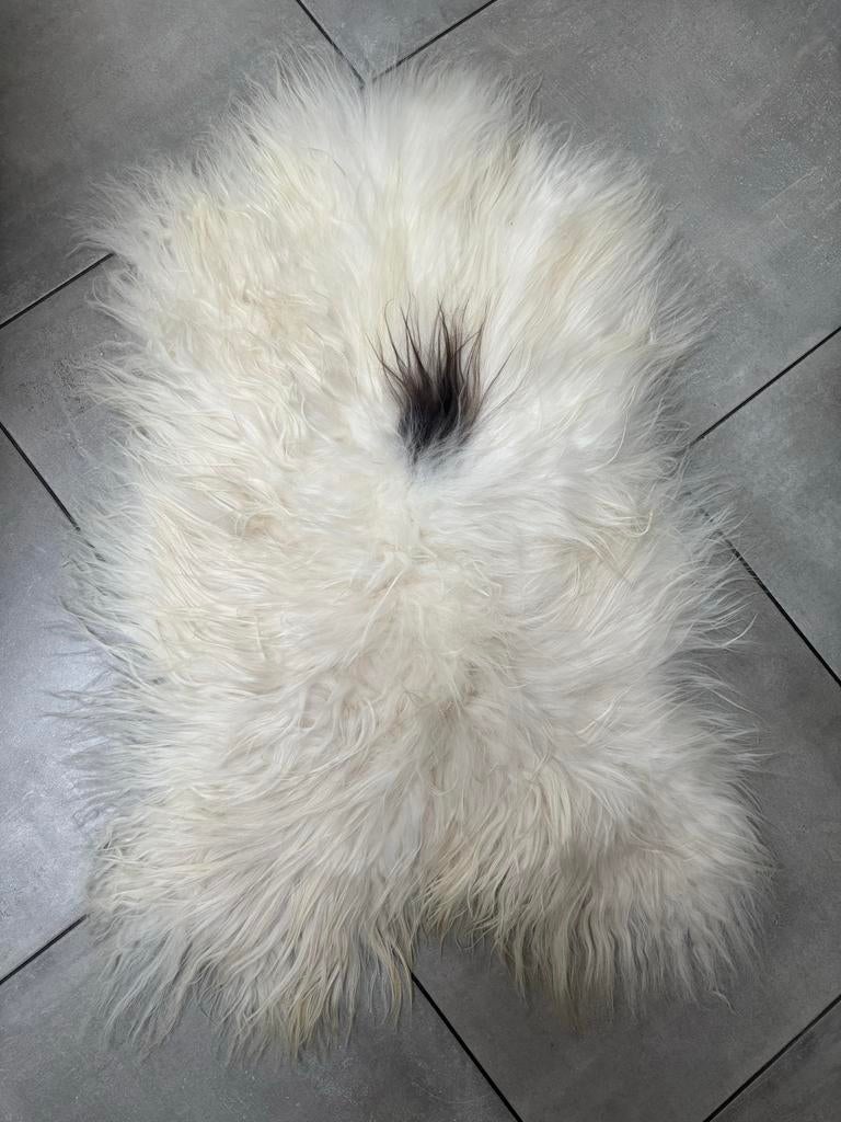 Witte IJslandse schapenvacht met bruin plukje haar, Info@natuurvachten.nl, 100 tot 150 cm, Wit, Nieuw