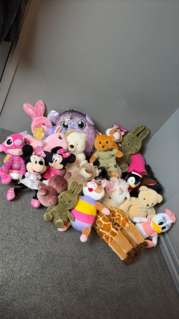 Tas met verschillende knuffels, Ophalen, Zo goed als nieuw, Overige typen