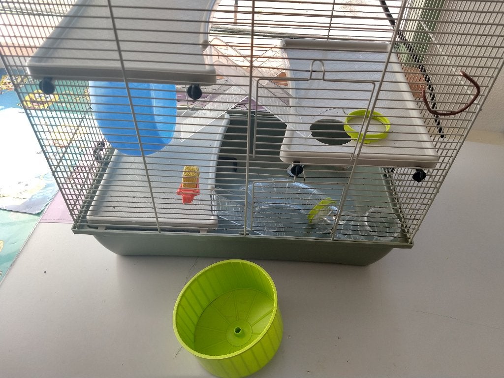 Hamsterkooi met 2 loopwielen (groot & klein), Dieren en Toebehoren, Minder dan 60 cm, Kooi, Gebruikt, Minder dan 75 cm