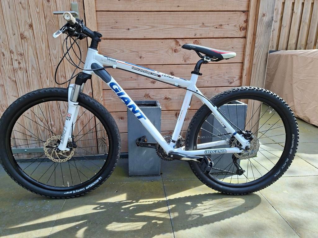 Giant Terrago Mountainbike - Wit/Blauw, Fietsen en Brommers, Fietsen | Mountainbikes en ATB, Ophalen, Gebruikt, Hardtail, Heren
