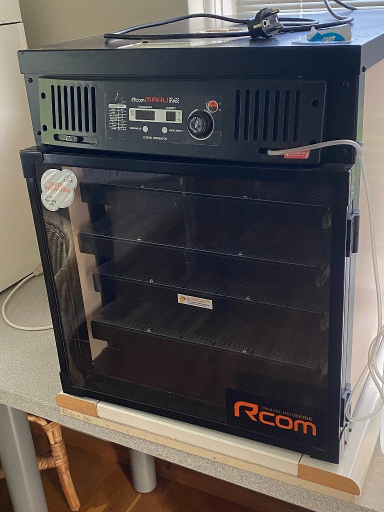 RCom Broedmachine Maru de Luxe 200, Ophalen of Verzenden, Zo goed als nieuw, Overige typen