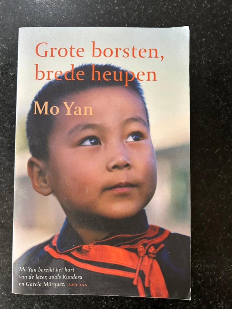 Mo Yan - Grote borsten, brede heupen, Ophalen of Verzenden, Gelezen, Mo Yan