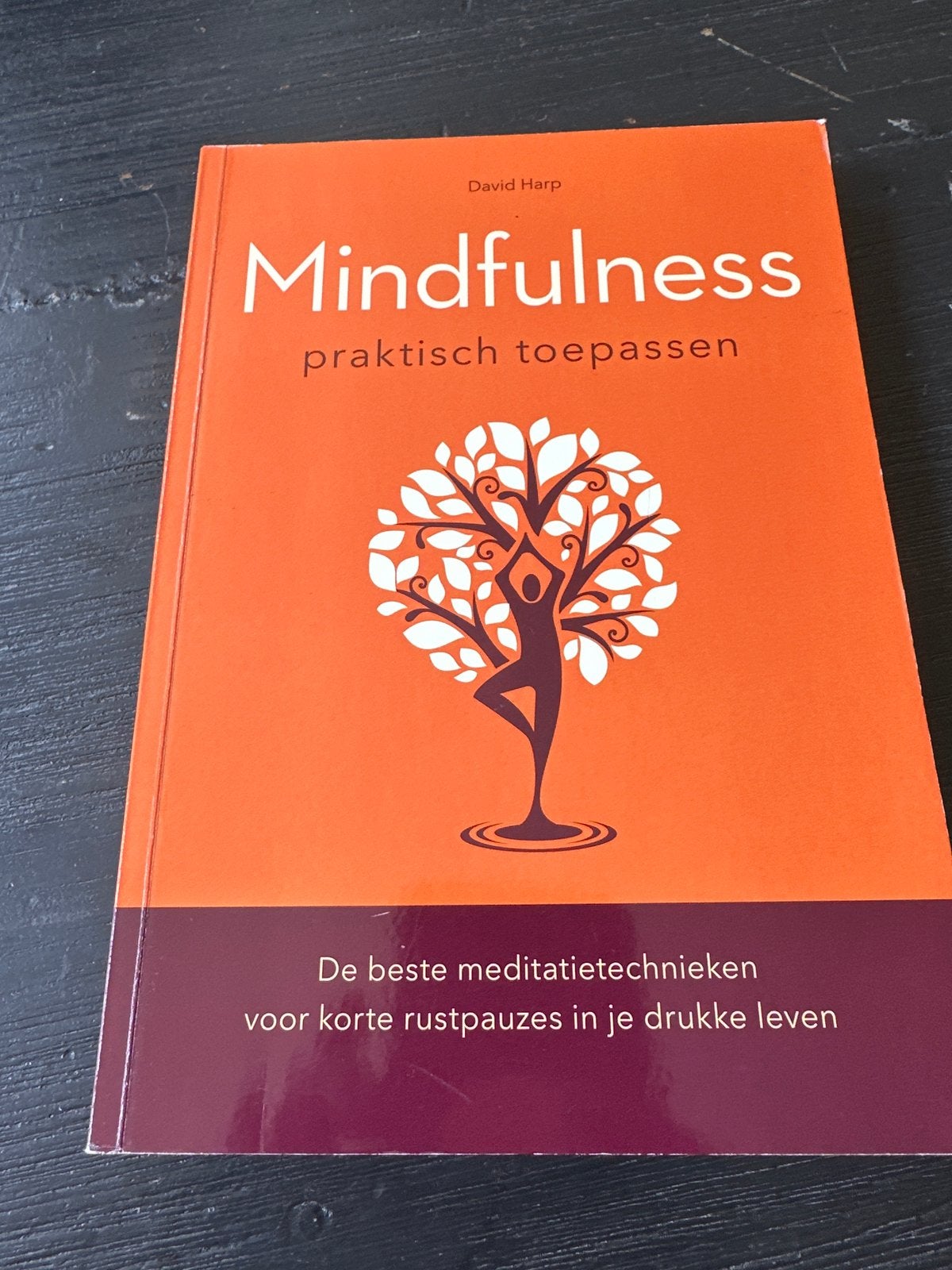 Mindfulness: praktisch toepassen - David Harp, Ophalen of Verzenden, Zo goed als nieuw, Meditatie of Yoga, Instructieboek