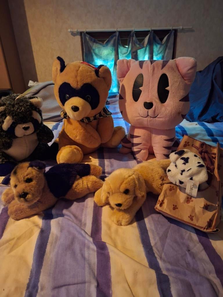 Knuffels, Kinderen en Baby's, Speelgoed | Knuffels en Pluche, Ophalen, Zo goed als nieuw, Overige typen