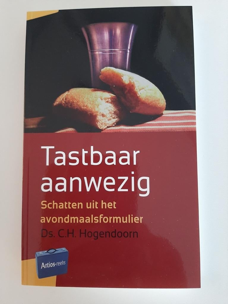 C.H. Hogendoorn - Tastbaar aanwezig, Ophalen of Verzenden, Nieuw, C.H. Hogendoorn