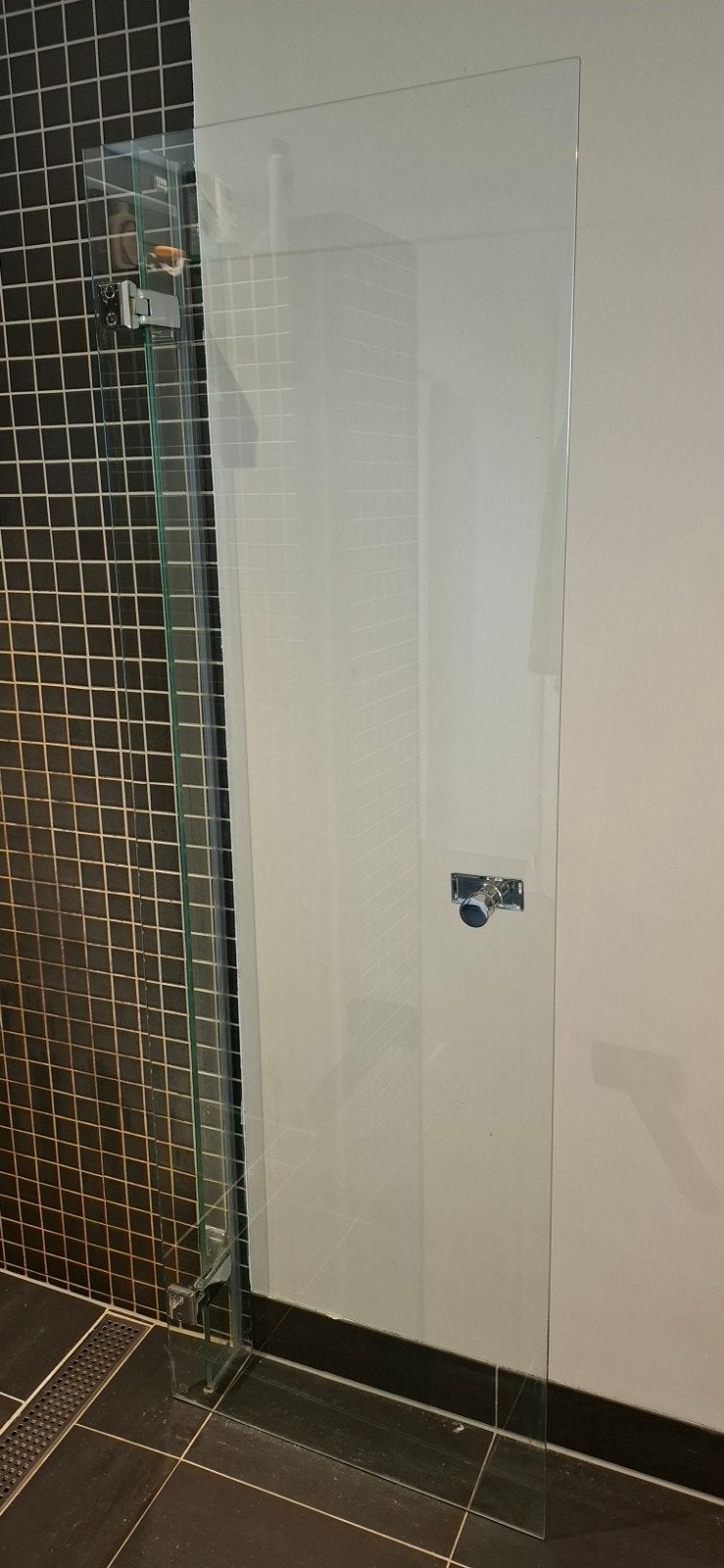 Glazen douchedeur 73x194cm (zonder rubbers), Ophalen, Gebruikt, Glas, Douche