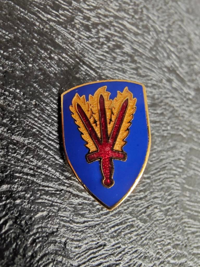 US Army 166th ( RCT ) Regimental Combat Team Unit Crest pin, Ophalen of Verzenden, Landmacht, Amerika, Embleem of Badge