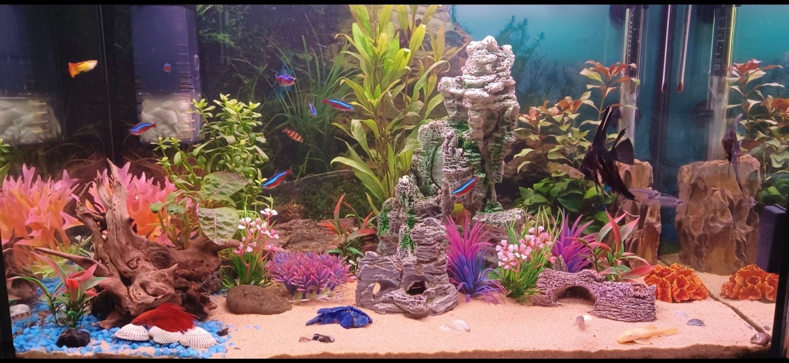 Aquarium met veel accessoires., Gebruikt, Leeg aquarium, Superfish, Ophalen