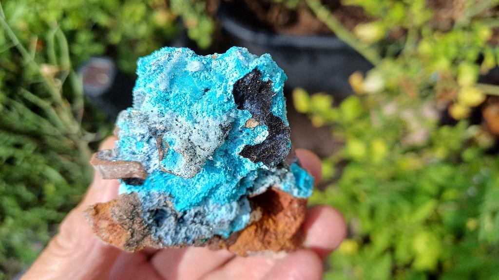 202508 Shattuckiet mix van Malachiet Cupriet Chrysocolla, Ophalen of Verzenden, Mineraal
