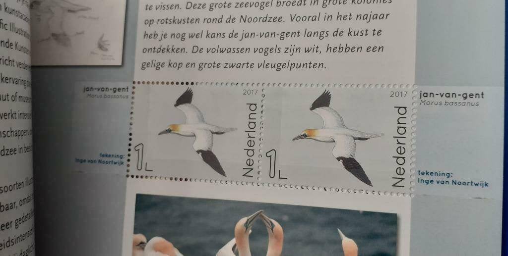 Prestigeboekje 72 - Leven in de Noordzee, Ophalen of Verzenden, Na 1940, Postfris
