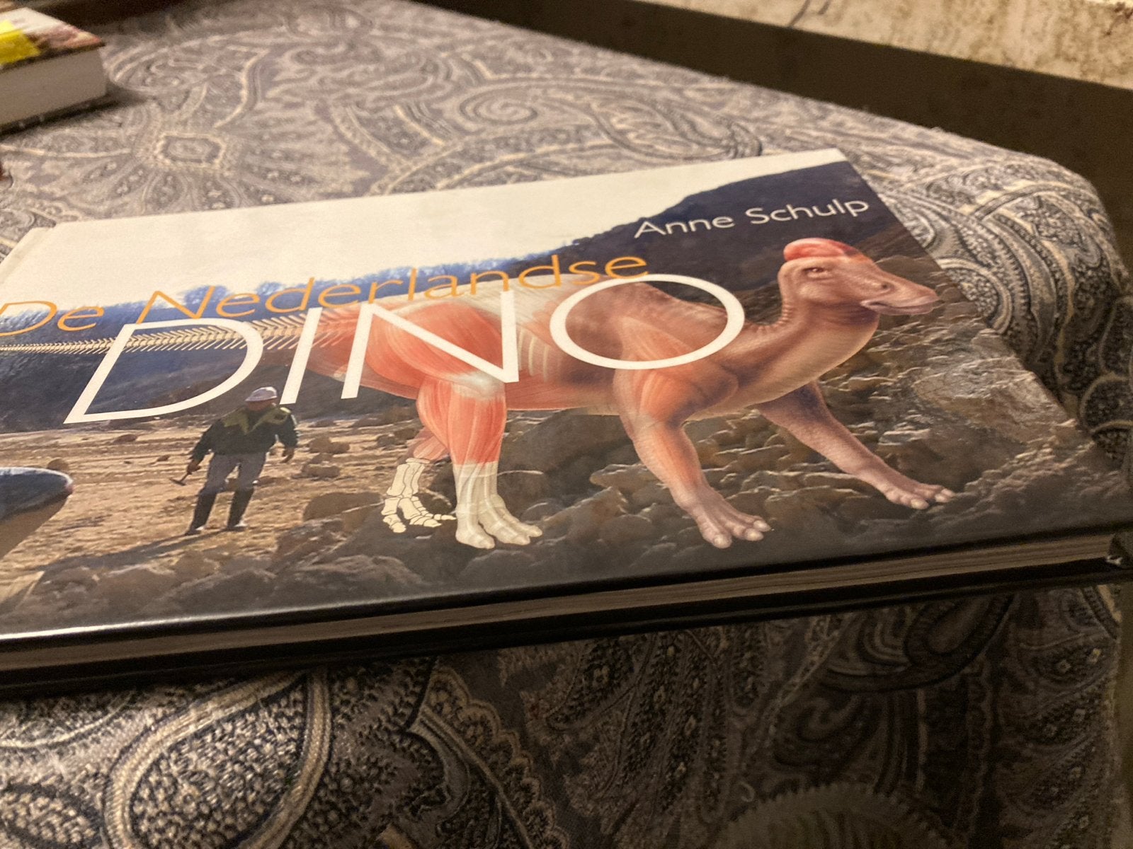 De Nederlandse Dino - Anne Schulp (Zo goed als nieuw), Ophalen of Verzenden, Zo goed als nieuw, Natuurwetenschap