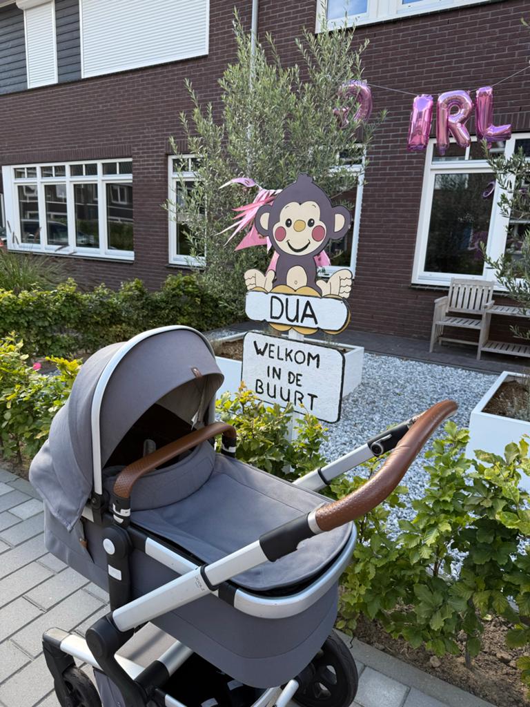 Joolz 3-in-1 kinderwagen met luiertas, Kinderen en Baby's, Kinderwagens en Combinaties, Overige merken, Gebruikt, Ophalen of Verzenden