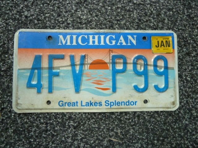 Kentekenplaat licenseplate Michigan Great Lakes Splendor USA, Verzamelen, Ophalen of Verzenden, Gebruikt, Auto's