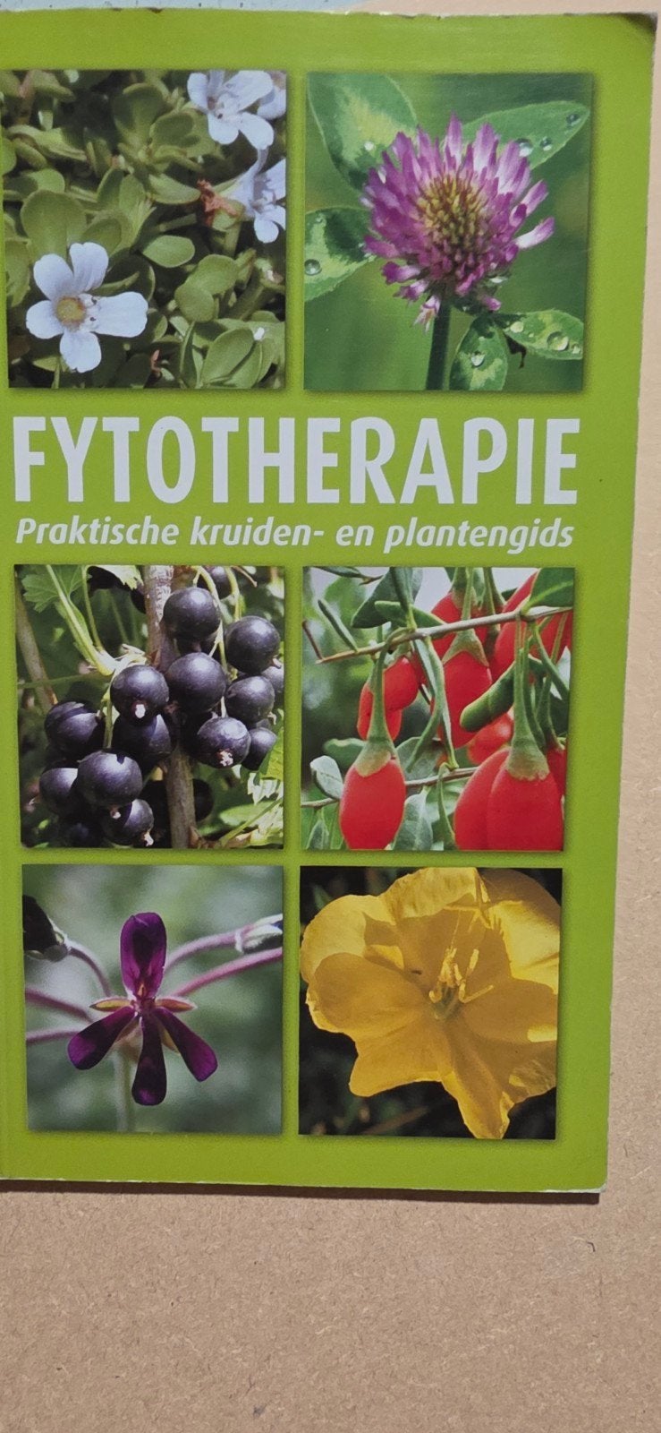 Fytotherapie praktische kruiden- en plantengids, Ophalen of Verzenden, Zo goed als nieuw, Natuur algemeen