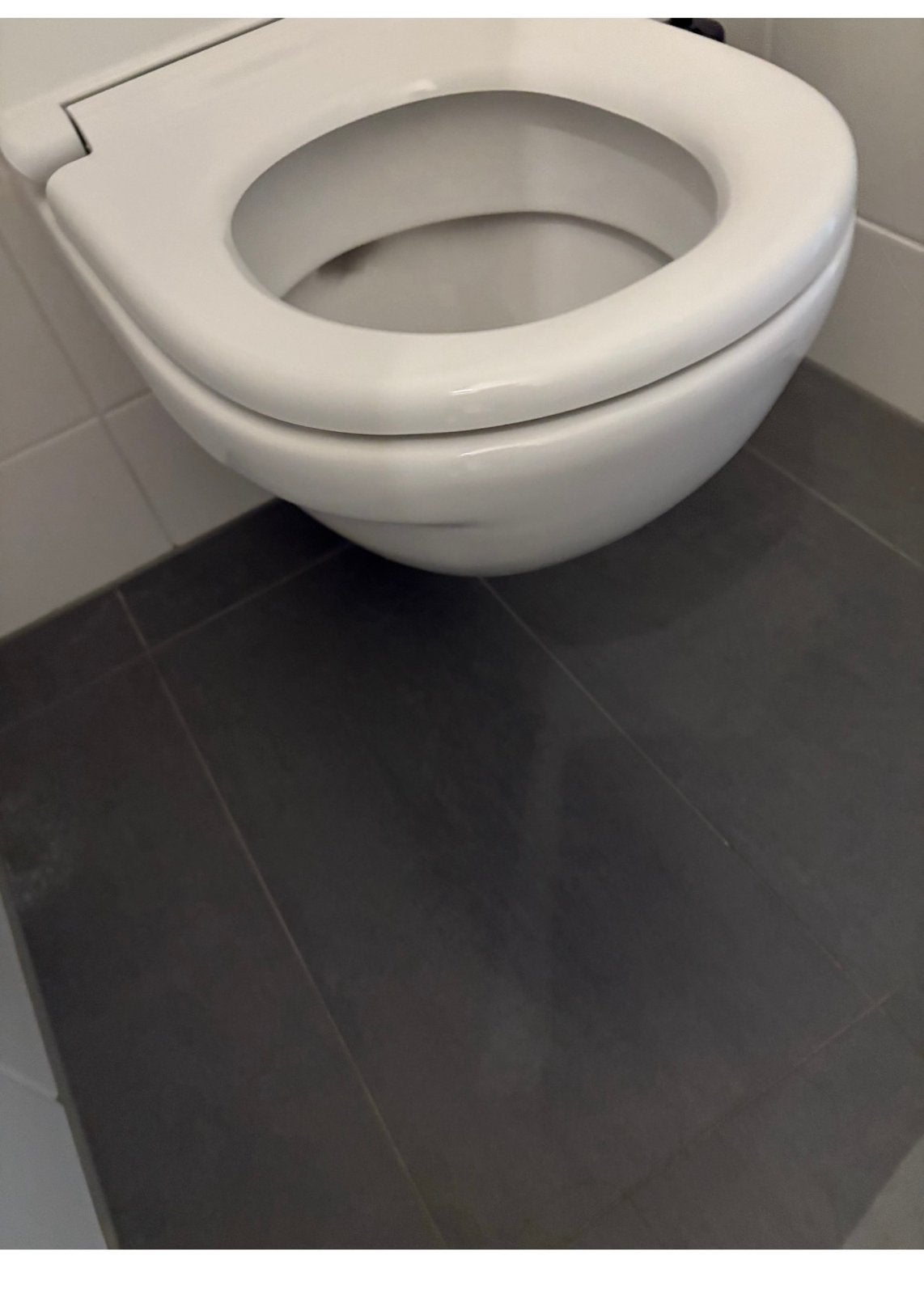Toiletpot Villeroy en Boch, Doe-het-zelf en Verbouw, Sanitair, Ophalen of Verzenden, Zo goed als nieuw, Toilet
