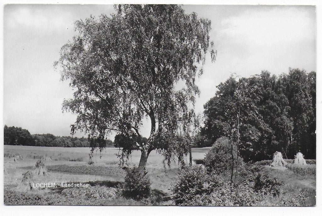 Lochem Landschap Gelopen Ansichtkaart (B8336), Ophalen of Verzenden, 1920 tot 1940, Gelopen, Gelderland