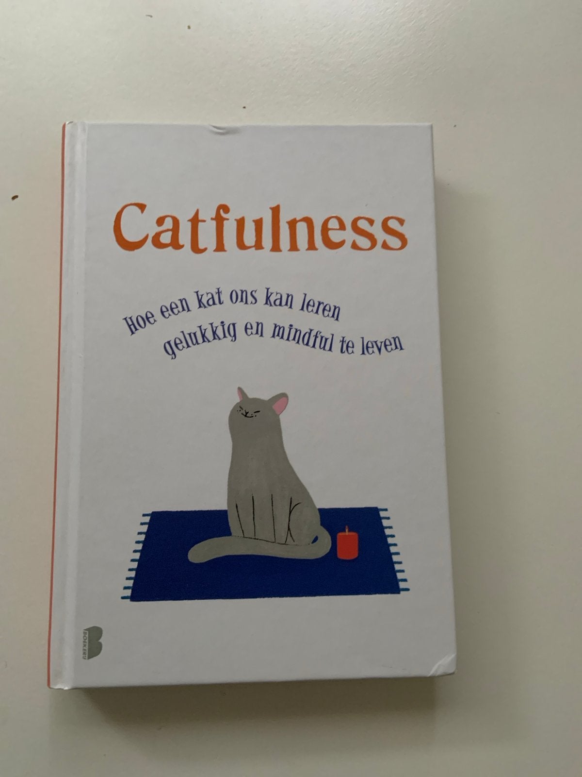 Catfulness: Hoe een kat ons kan leren gelukkig te leven, Ophalen of Verzenden, Zo goed als nieuw, Spiritualiteit algemeen, Achtergrond en Informatie