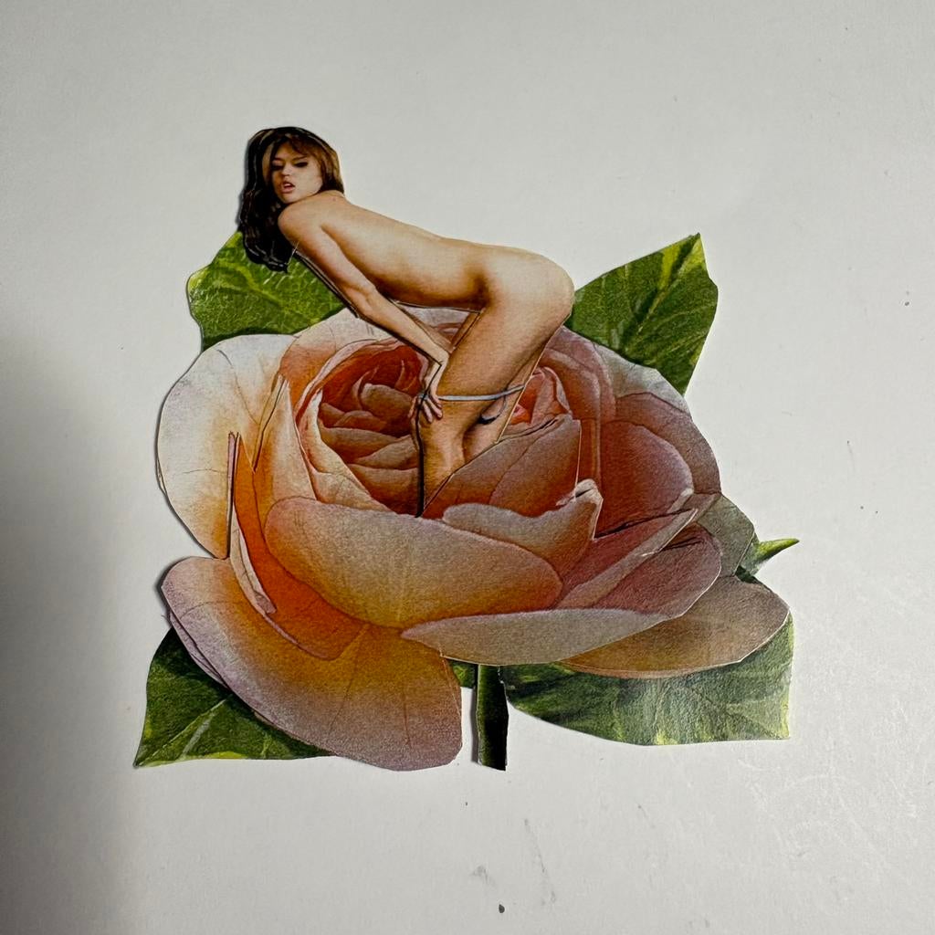 3d plaatje 41, Ophalen of Verzenden, Nieuw, Overige thema's, Overige typen