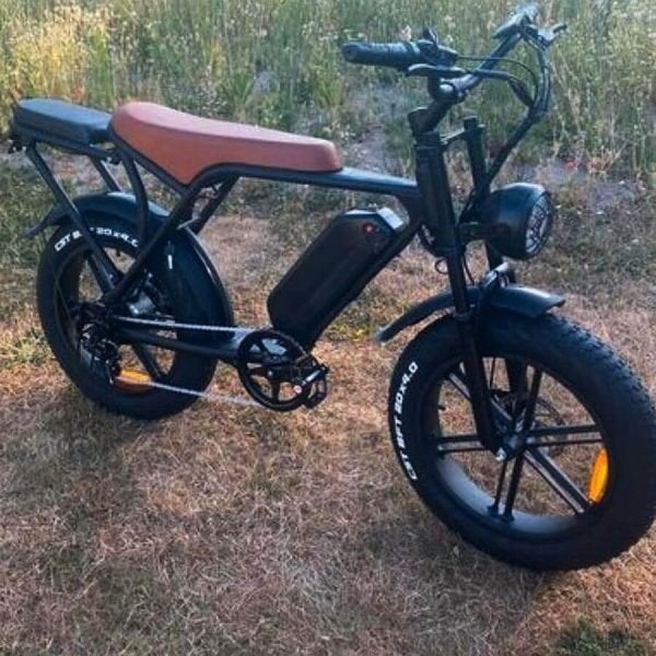 Fatbike met oplader en accu met slot, Gebruikt, 51 tot 55 cm, 50 km per accu of meer, Ophalen