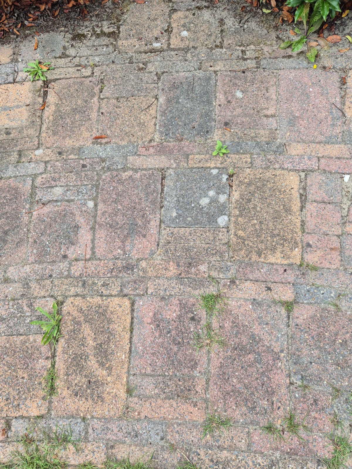 GRATIS: Gebruikte terrastegels en klinkers, Doe-het-zelf en Verbouw, Tegels, Ophalen, Overige materialen, Gebruikt, 20 tot 40 cm