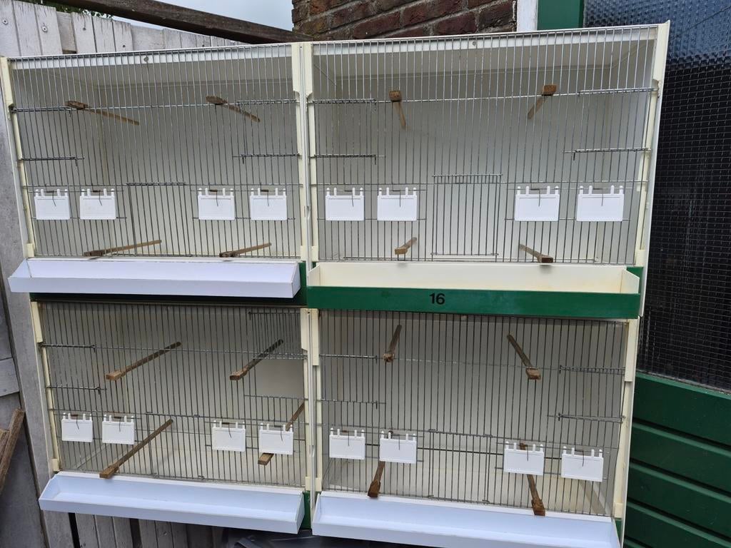 Broedhokken, Dieren en Toebehoren, Vogels | Toebehoren, Ophalen of Verzenden, Overige typen