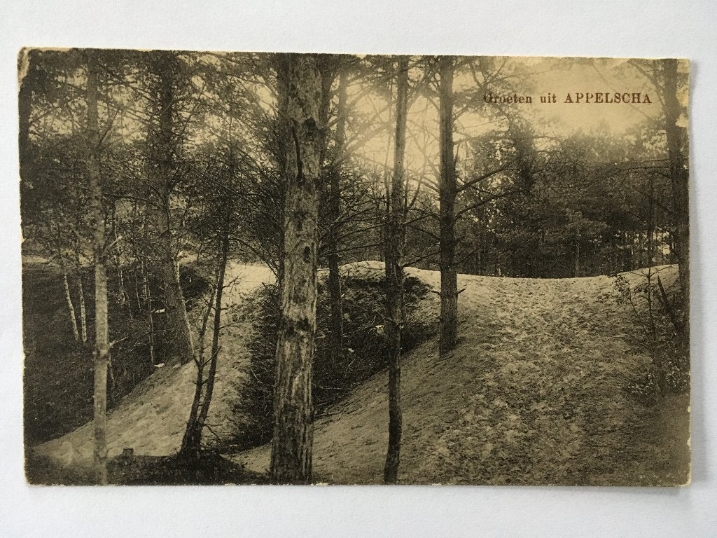 Prentbrief/ ansichtkaart, Friesland (3x), Ophalen of Verzenden, Voor 1920, Friesland