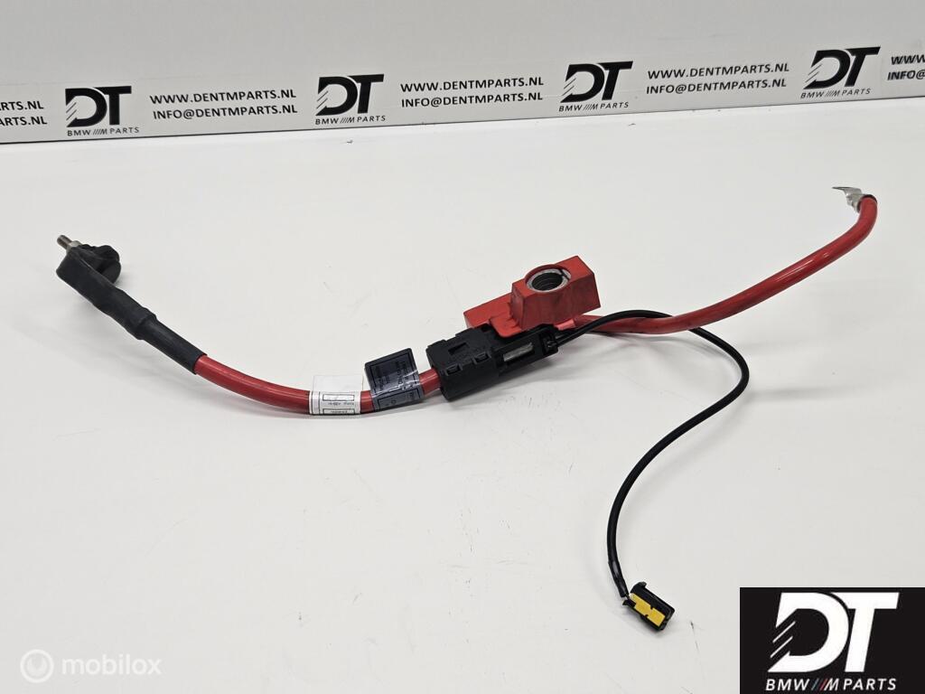 Accukabel BMW Z4M E85 E86 S54 12421737755, Gebruikt, Ophalen of Verzenden, BMW, BMW