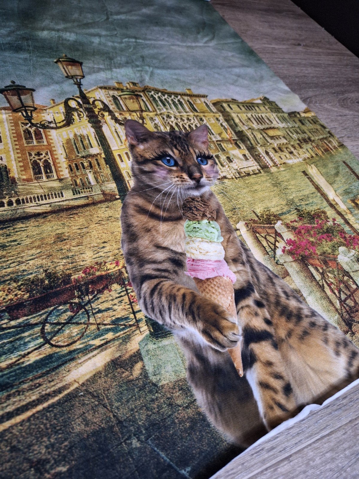 Stofpaneel Kat met IJsje in Venetië 75x50cm, Geschikt voor stof, Nieuw, Meerkleurig, Ophalen of Verzenden