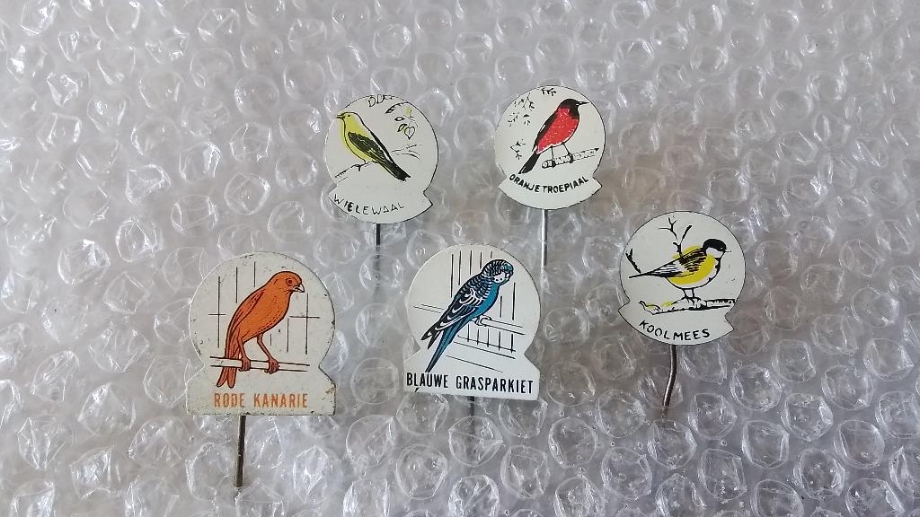 5 verschillende speldjes vogels, Ophalen of Verzenden, Zo goed als nieuw