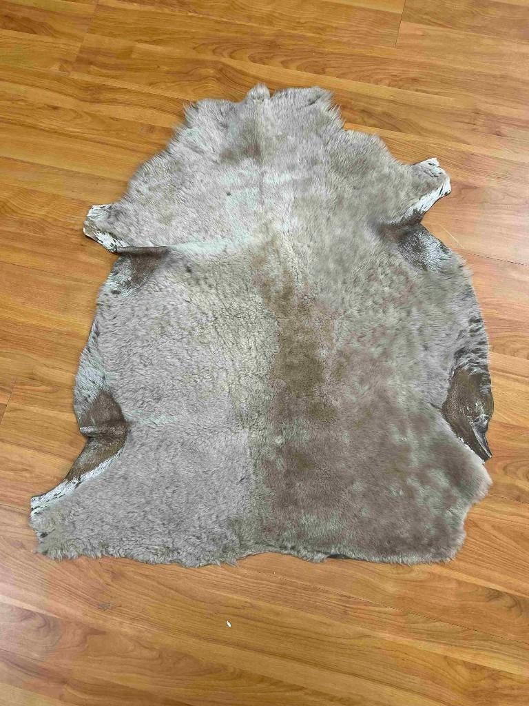 Zachte Geitenvacht 80/66 cm, Gebruikt, 50 tot 100 cm, Beige, Etten-Leur