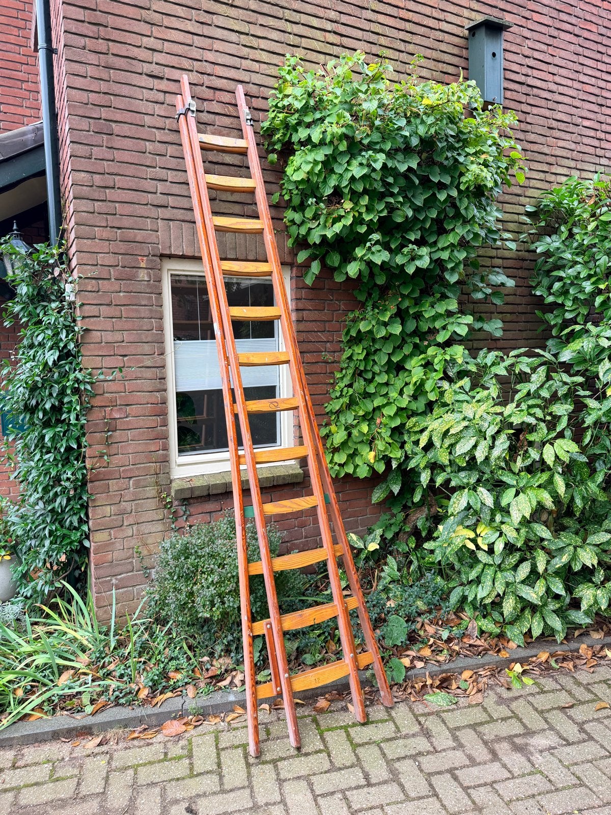 Houten uitschuifbare ladder - 2x12, Ophalen, Gebruikt, Ladder, Opvouwbaar of Inschuifbaar