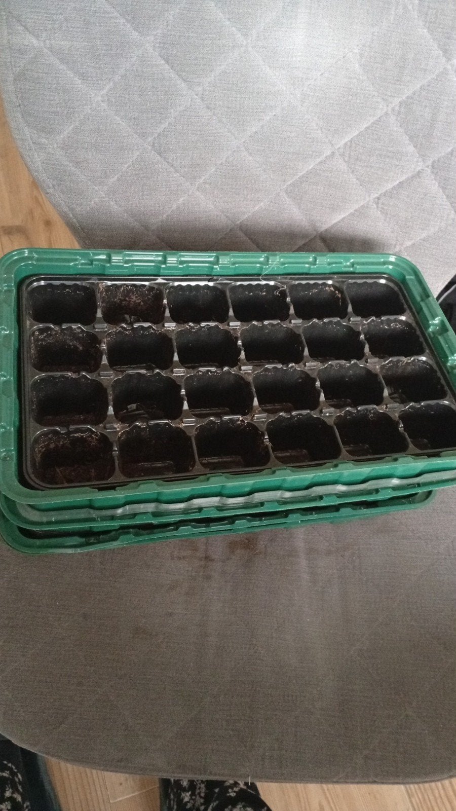 Kweekbakje voor zaailingen, Tuin en Terras, Kweekspullen, Ophalen, Gebruikt, Kweekbak