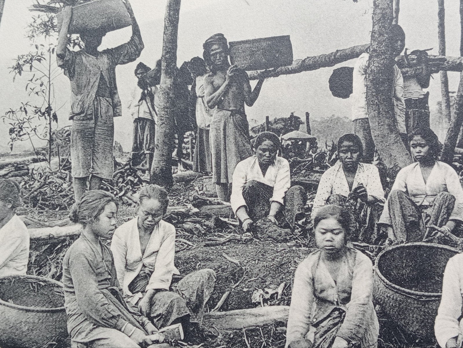 Fotogravure Nederlands Indië 1910 - Indonesia, Ophalen of Verzenden