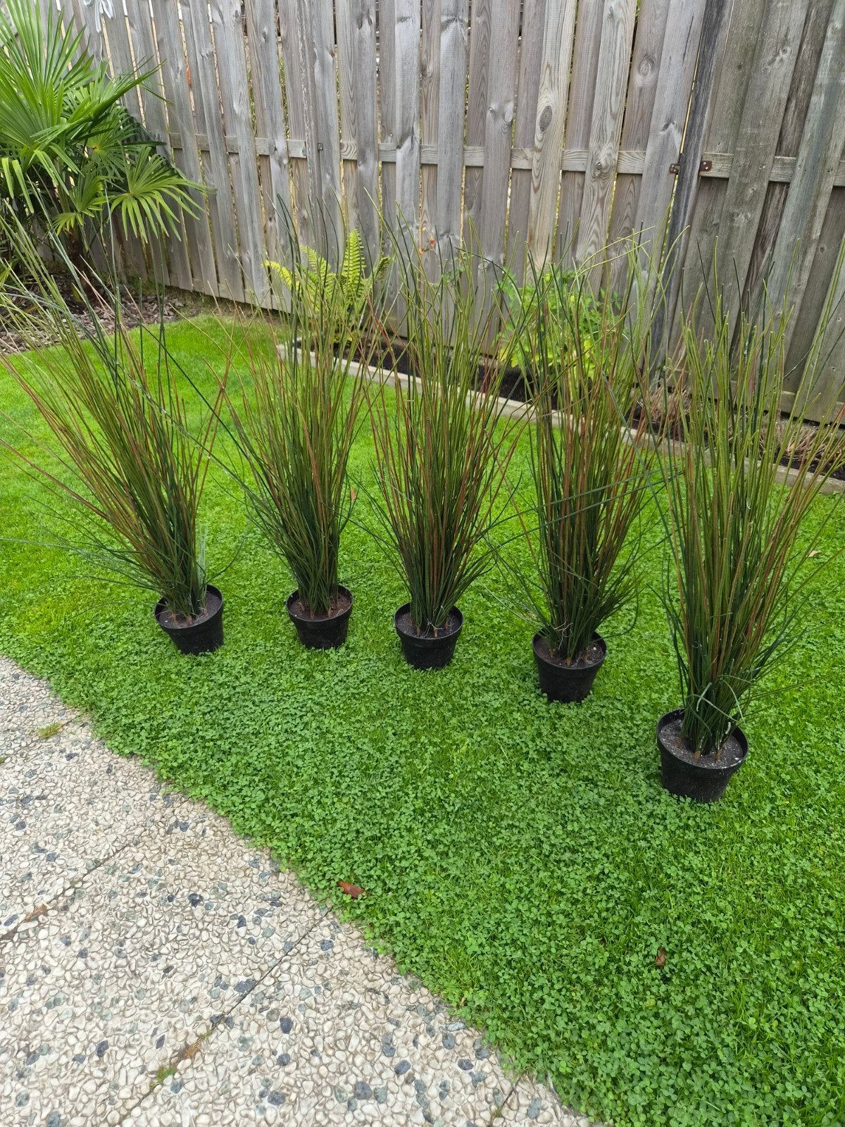5x kunstplant siergras Ikea (80 cm hoog), Ophalen of Verzenden, Volle zon
