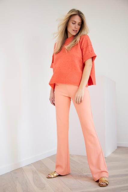 Corel flared pantalon nieuw, Overige kleuren, Nieuw, Ophalen of Verzenden, Lang