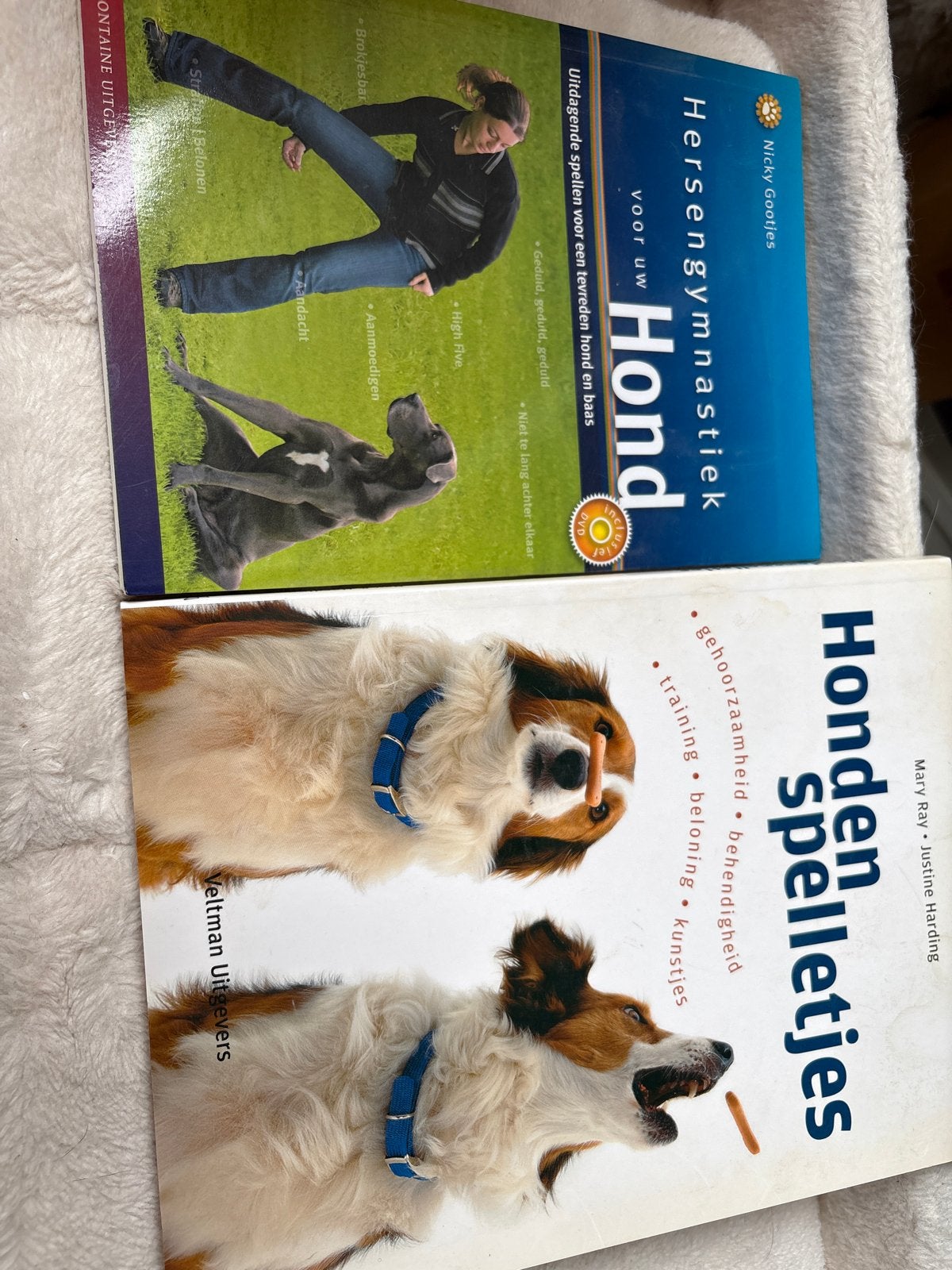 Hondenboeken: Hersengymnastiek en Hondenspelletjes, Ophalen, Zo goed als nieuw, Honden