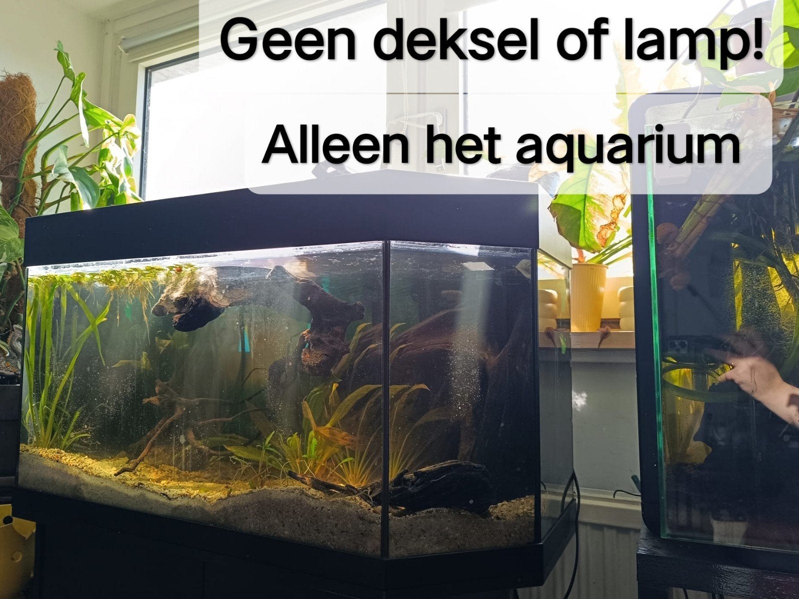 Gratis Juwel Panorama 100 met scheur in glas, Dieren en Toebehoren, Gebruikt, Hok, 75 tot 110 cm, Ophalen