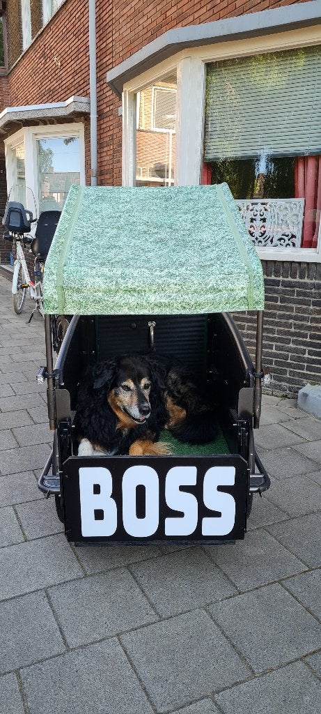 Vogue troy Elektrische bakfiets, 4 kinderen of meer, Gebruikt, Huif, Trommelrem