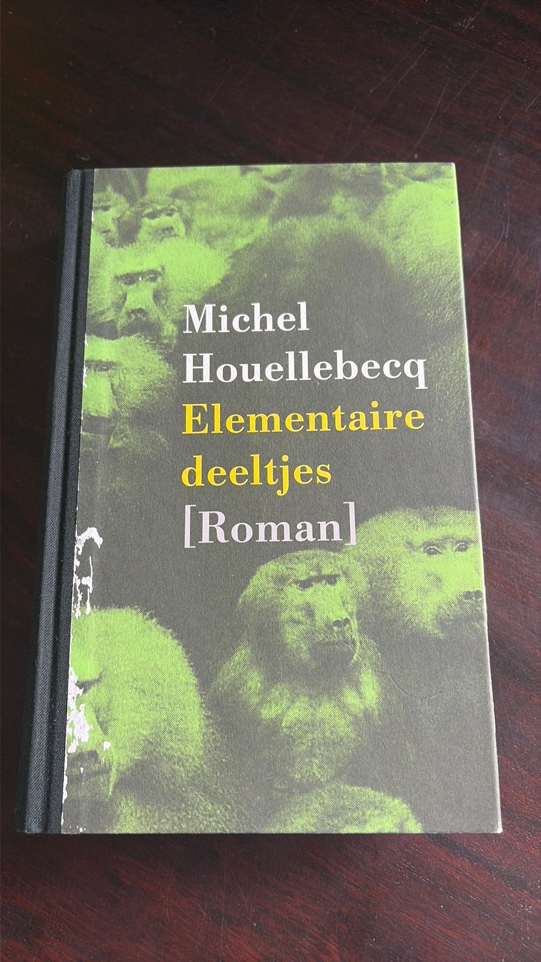 Elementaire Deeltjes - Michel Houellebecq, Boeken, Literatuur, Ophalen of Verzenden, Gelezen, Europa overig