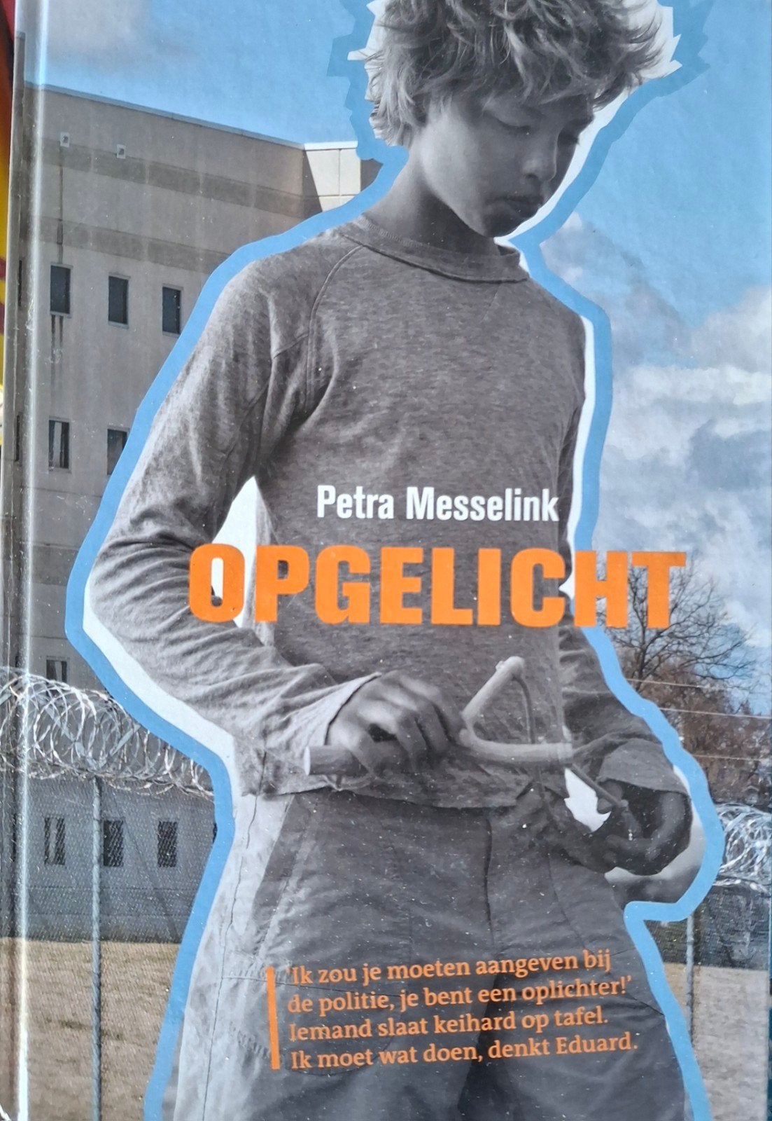 Petra Messelink - Opgelicht, Ophalen of Verzenden, Zo goed als nieuw, Petra Messelink