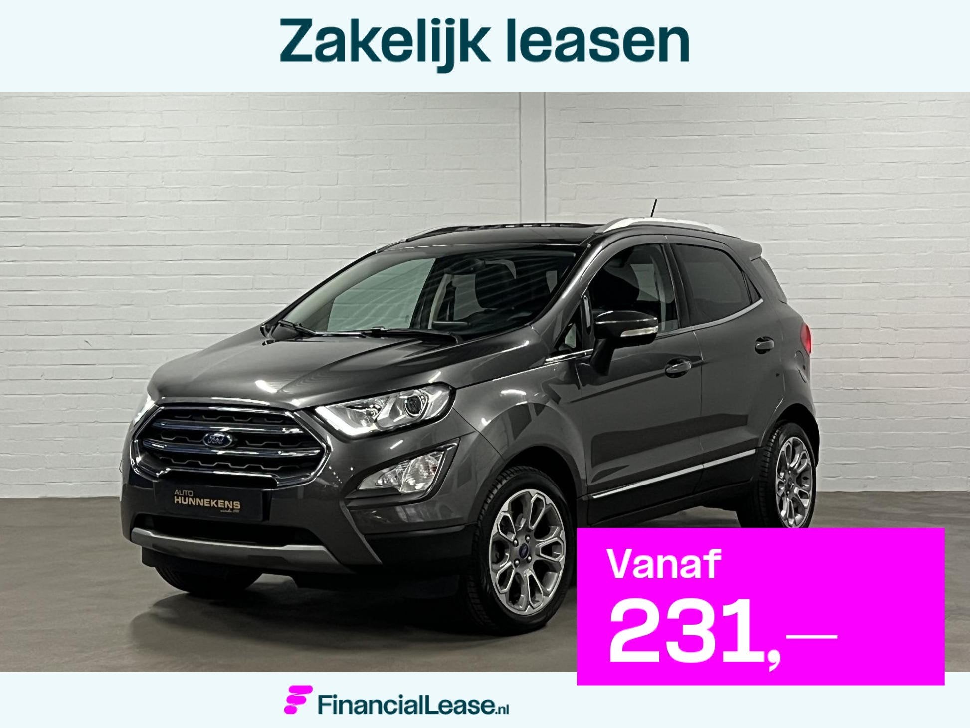 Ford EcoSport 1.0 EcoBoost Titanium Trekhaak | Open dak | Cr, 125 pk, Gebruikt, Ecosport, Bedrijf